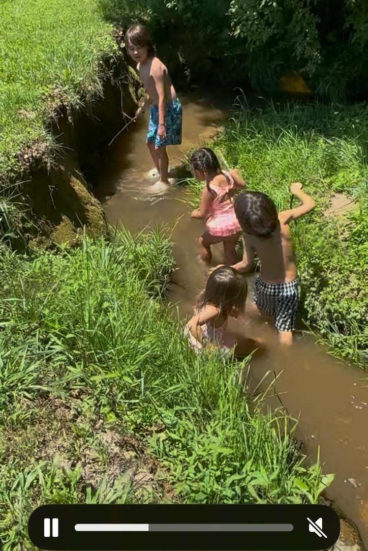 Lambert grandchildren playing in Goose Creek where two creeks meet, June 2025