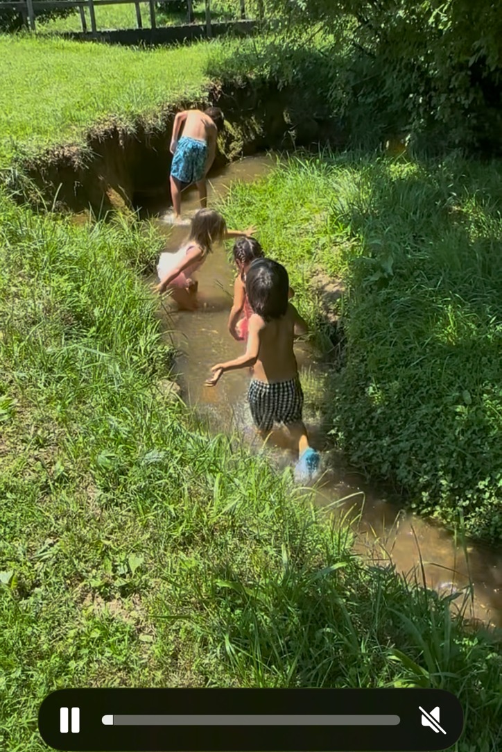 Lambert grandchildren splashing in Goose Creek beside the family home, June 2025